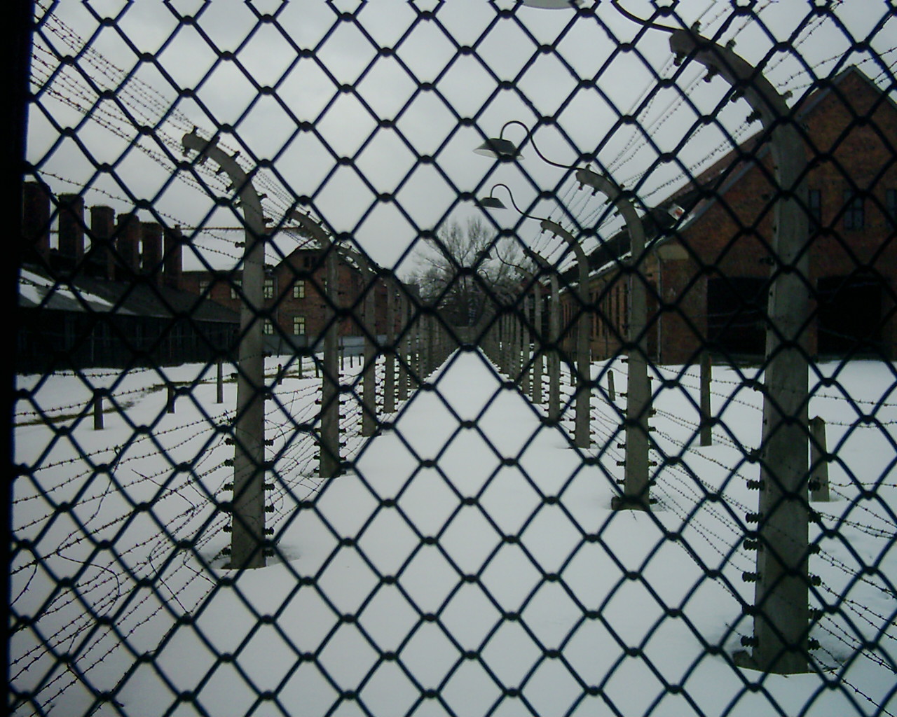 fences