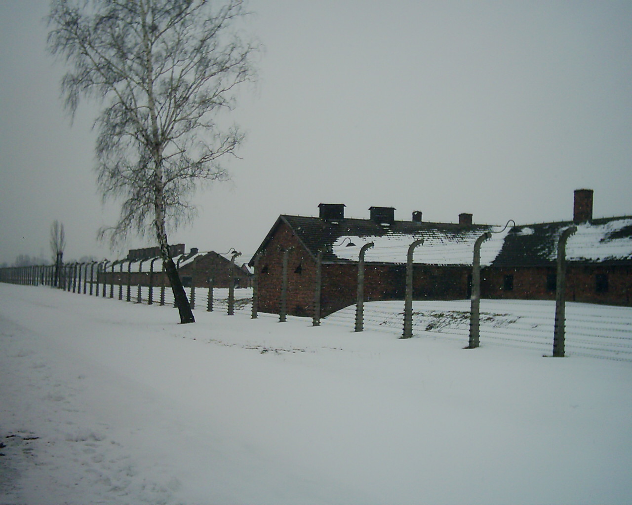 inside birkenau