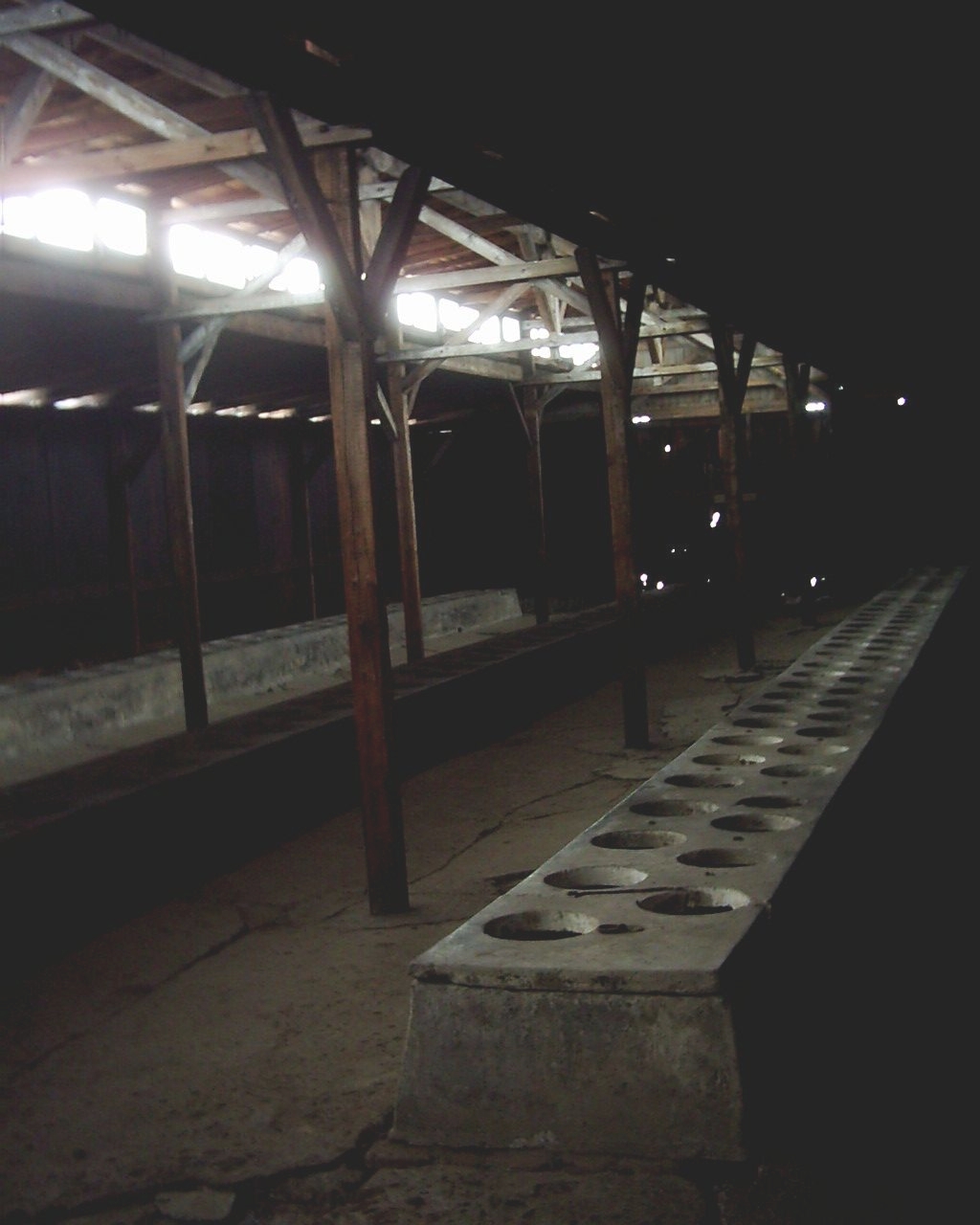 latrines